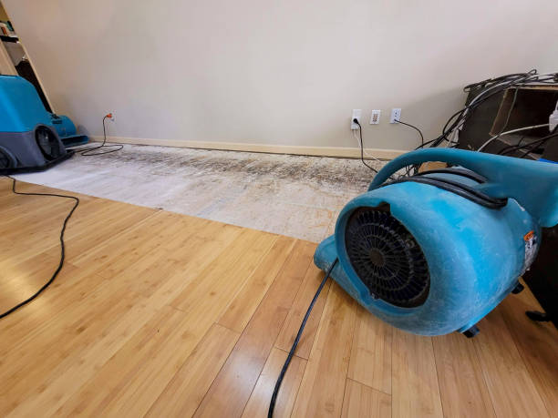 Professional Structural Drying technician working in Verplanck, NY